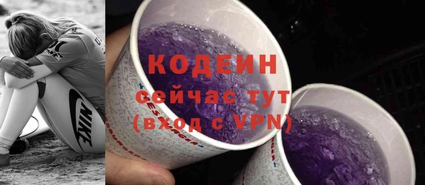 прущие грибы Бородино