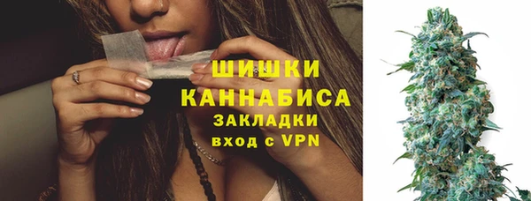 МДПВ Бронницы