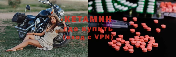 прущие грибы Бородино