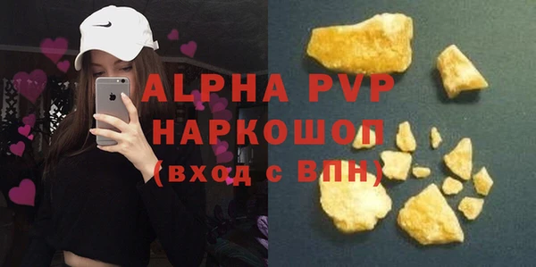 прущие грибы Бородино