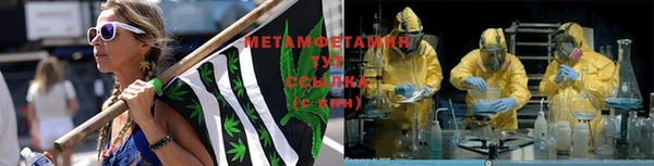 прущие грибы Бородино