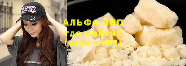 прущие грибы Бородино