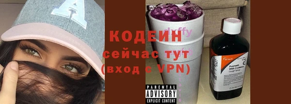 прущие грибы Бородино