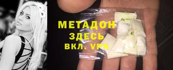 прущие грибы Бородино