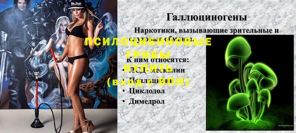 МДПВ Бронницы