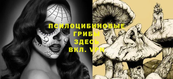 ПСИЛОЦИБИНОВЫЕ ГРИБЫ Бугульма