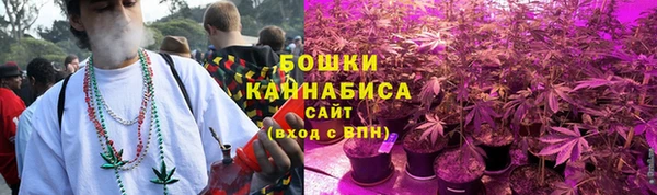 МДПВ Бронницы