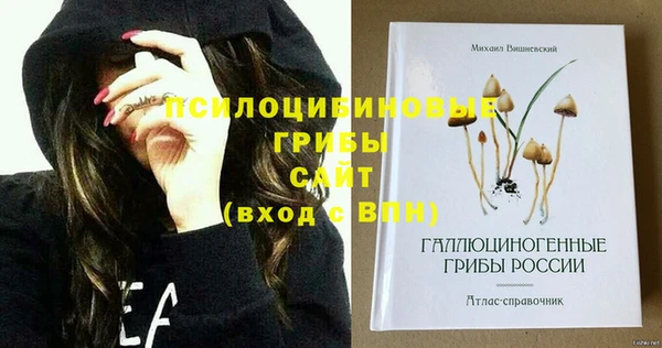 прущие грибы Бородино