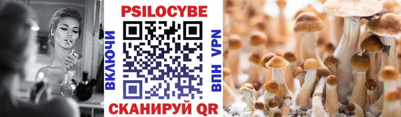 где найти   Волгоград  Псилоцибиновые грибы Psilocybe 