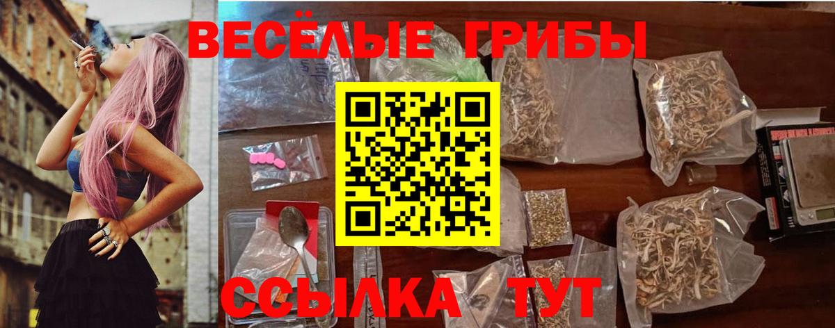 Галлюциногенные грибы MAGIC MUSHROOMS  Волгоград  Галлюциногенные грибы MAGIC MUSHROOMS 