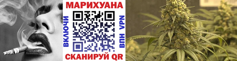 где продают наркотики  ОМГ ОМГ   Бошки Шишки сатива  это телеграм  Волгоград 